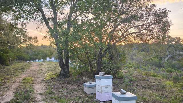 Le Rucher de Florent