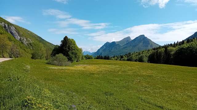 Double ZH : Zones Humides, Zones (H)importantes I Rendez-vous Nature en Savoie
