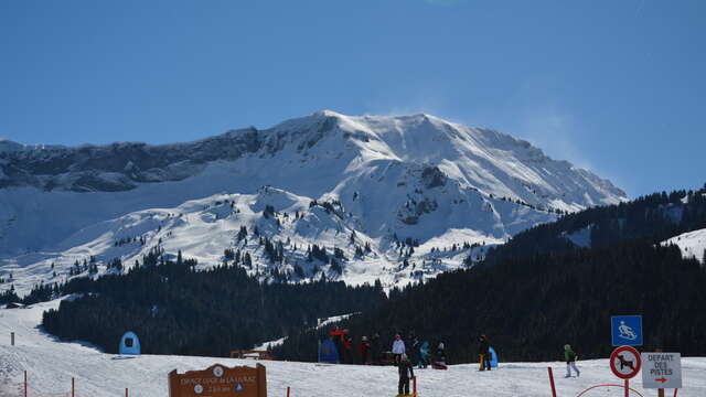 Espace luge - La Livraz