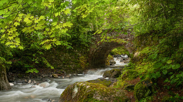Boucle du Pont des Nants par route forestière - sentier pédestre