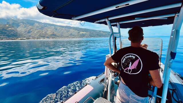 Tahiti Freediving - Whale watching tours
