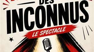 Le meilleur des Inconnus
