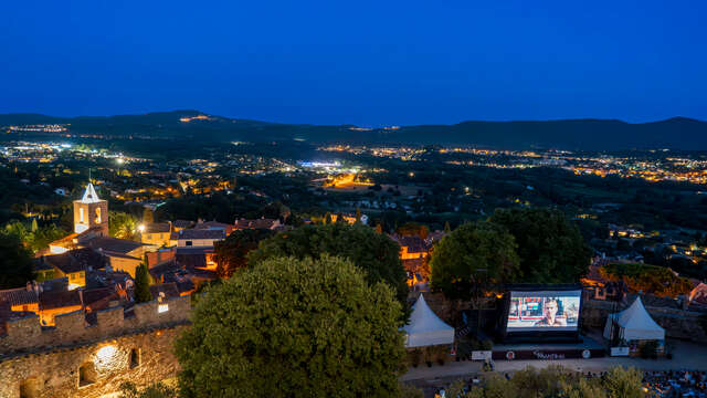 Cinema at the castle