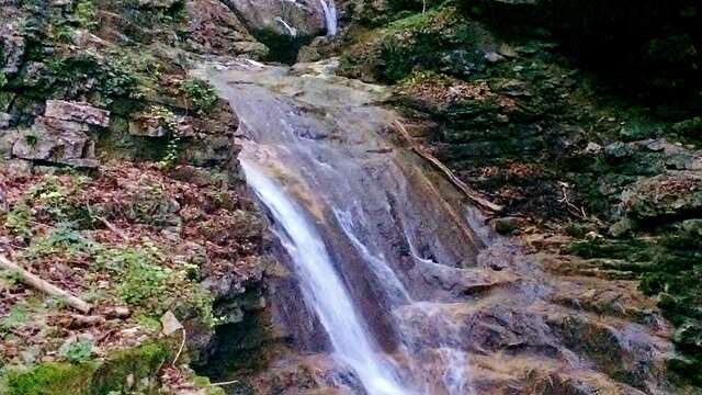 AAPPMA de Chambéry - Les Pêcheurs Chambériens