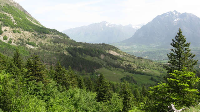 Sentier botanique Dominique Villars