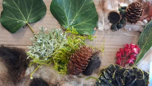 Fabrique ton tableau 100% jardin