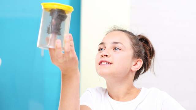 Atelier ALTEC (9-11 ans) - Défi sciences