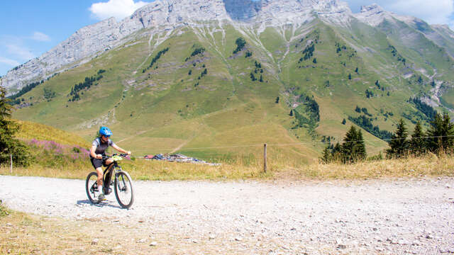 Col des Aravis - Bogneuve FFC n°10