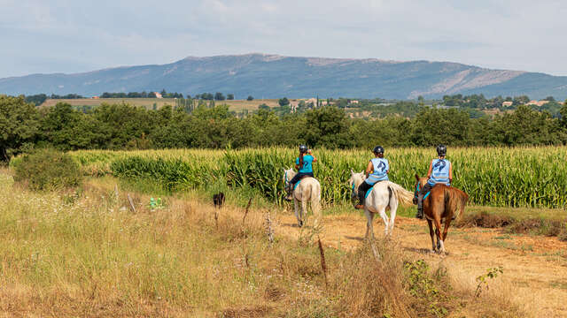 Ferme équestre du Grand Bois