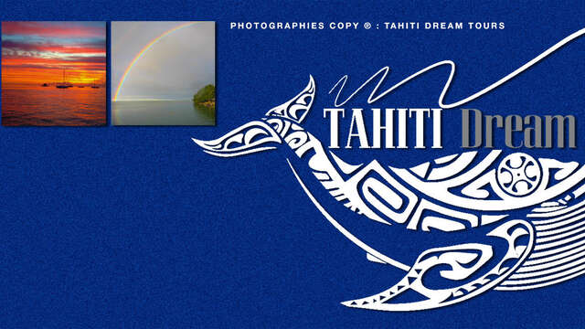 Tahiti Dream Tours - Sortie Baleines