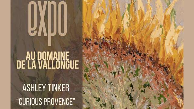 Exposition au Domaine de la Vallongue : Ashley Tinker