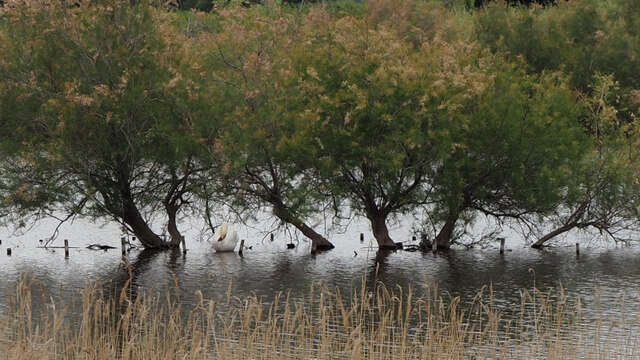 Visite flash "Entre terre et mares"