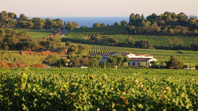 Sports break in Gigaro - Take part in the 10 km Gulf Marathon