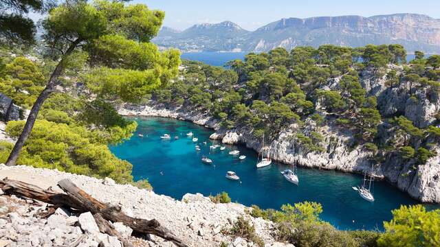 Excursion en bus les Calanques de Cassis