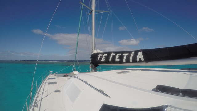 Sortie catamaran à la journée - Te Fetia Charter