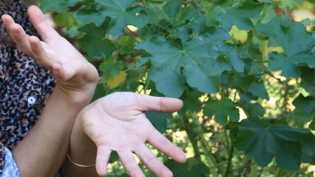 Week-end langue des signes et botanique