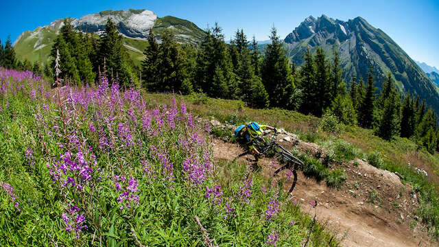 Enduro des Juments - Enduro MTB-parcours nr. 36