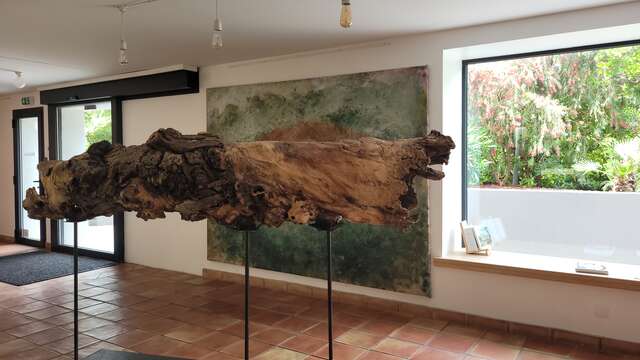Exposition Art & Vin à Figuière "Naissance, Renaissance de la forêt" par Vincent Lajarige, artiste peintre et sculpteur