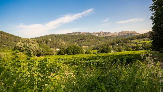 Visite en autonomie sur les pas des Bernardins