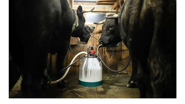 La Ferme du Lautaret