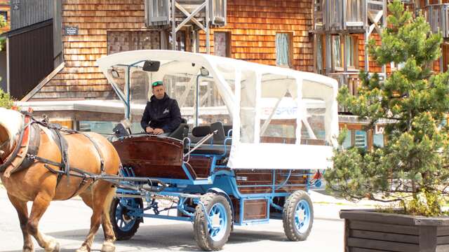 Electric carriage transport