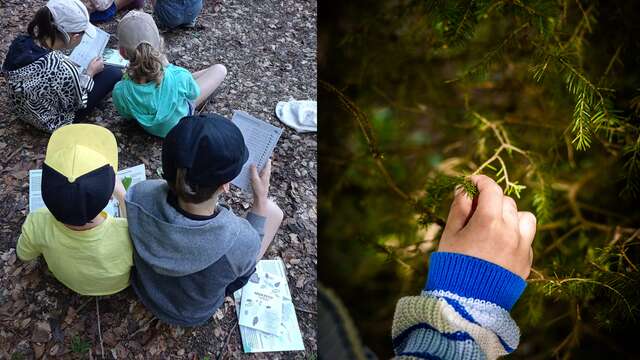 Atelier Nature en Famille "La Forêt au Printemps" - Semaine Famille +