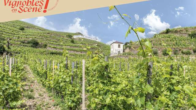 Découverte du vignoble en vélo à assistance électrique - Maison M. CHAPOUTIER