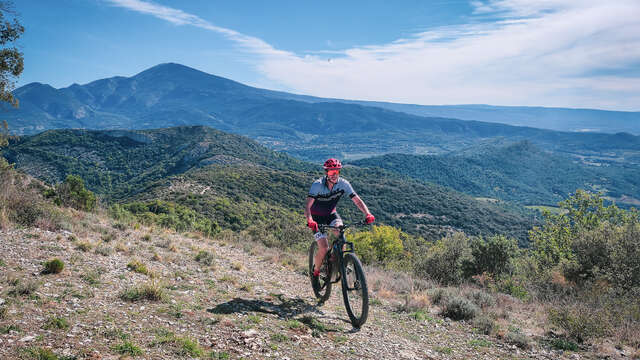 Provence Explore