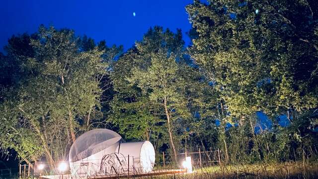 Les Eternelles - The Bubble