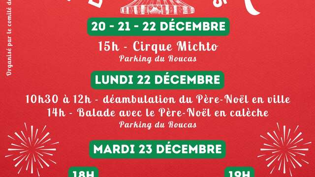 Animations de Noël et feu d'artifice