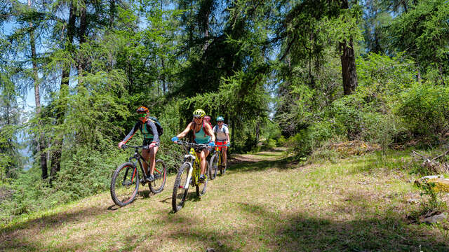 Sortie accompagnée "E-bike à la ferme"