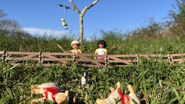 Théâtre - Pierre Guillois "Foutue Bergerie"