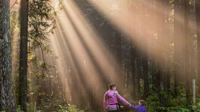 Balade autour des plantes au Château de Ripaille