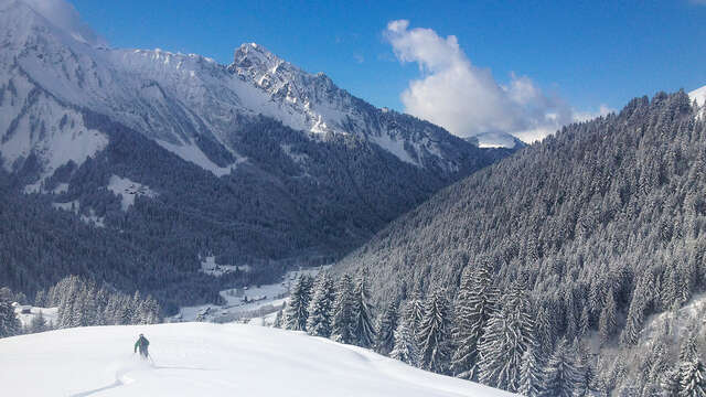 Ski hors-piste avec le bureau des guides