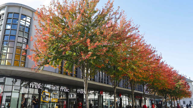 Le coin des enfants: Concours d'architectes (9-12 ans)