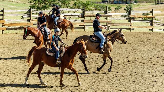 Promenade à cheval 1h - Lasbleiz Western Training