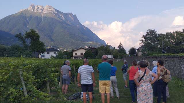 Vignobles en scène : Animations et dégustations au Domaine de Méjane