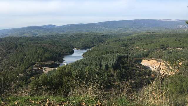 Promenade : La Forêt Royale - Saint-Paul-en-Forêt