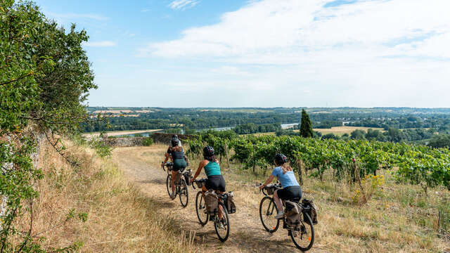 Week-end gravel - Angers, entre Loire et vignobles