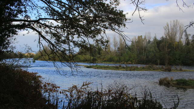 Sentier de Craintilleux - sentier des Bords de Loire