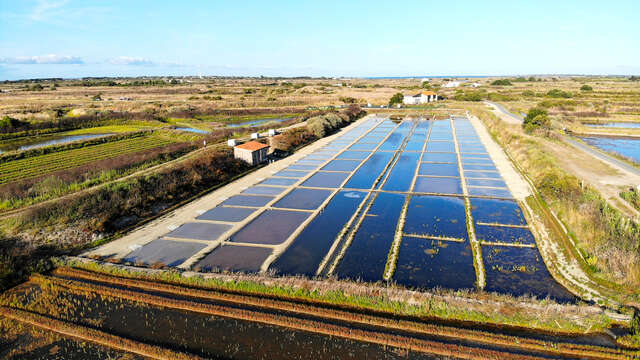 Rivesaline