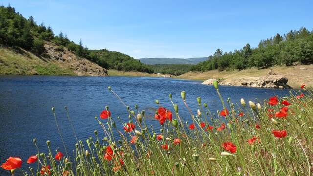 Promenade : Le lac de Méaulx - Saint-Paul-en-Forêt