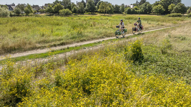 La Vallée du Loir à vélo - de Rives-du-Loir-en-Anjou à Angers