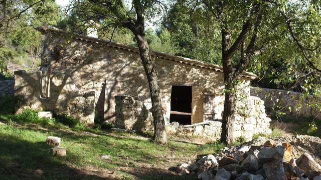 Le Camp Romain au Rouret