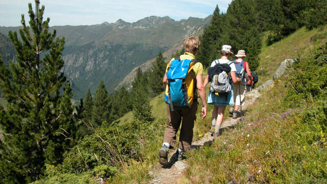 Lakes and mountain pastures" hike with the Bureau des Guides