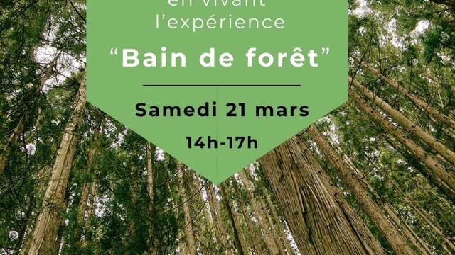 Bain de forêt pour la journée internationale des forêts - Les Ateliers d'Evyoute