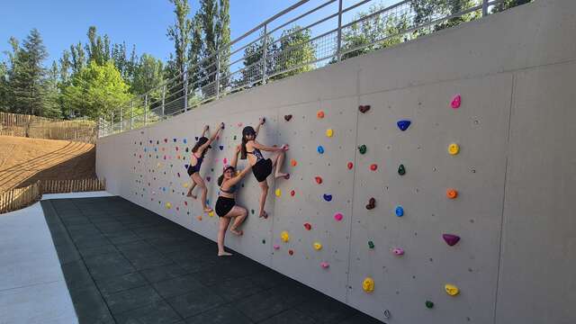 Climbing wall