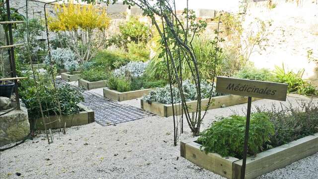 Jardin botanique du musée Balaguier