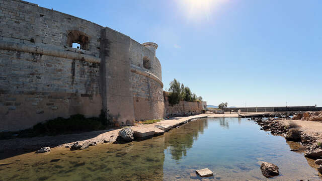 Cani-plage de Toulon - Pipady