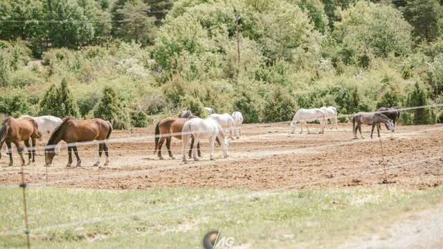 Verdon Equitation